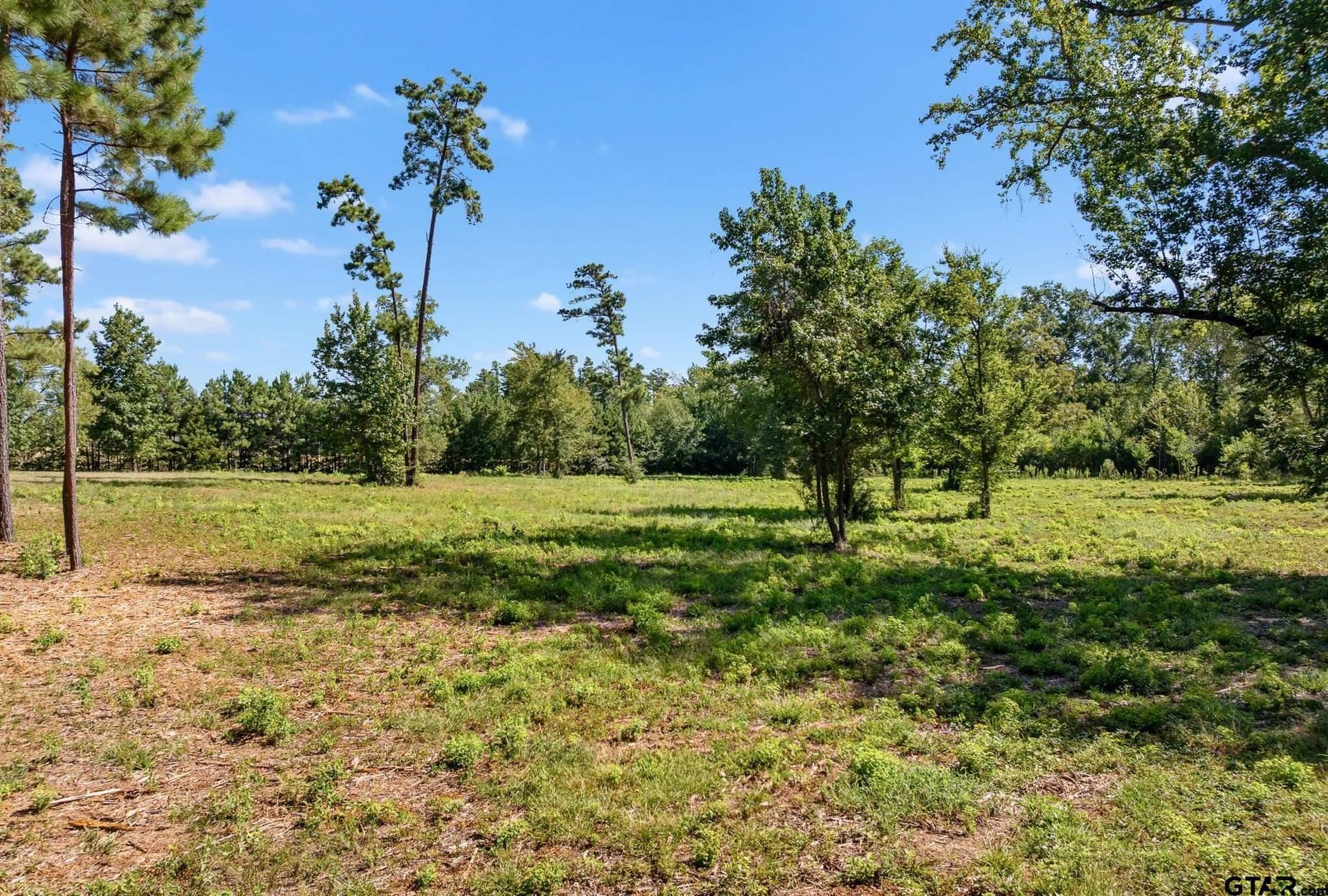 27.35 acres in Smith County - photo 10