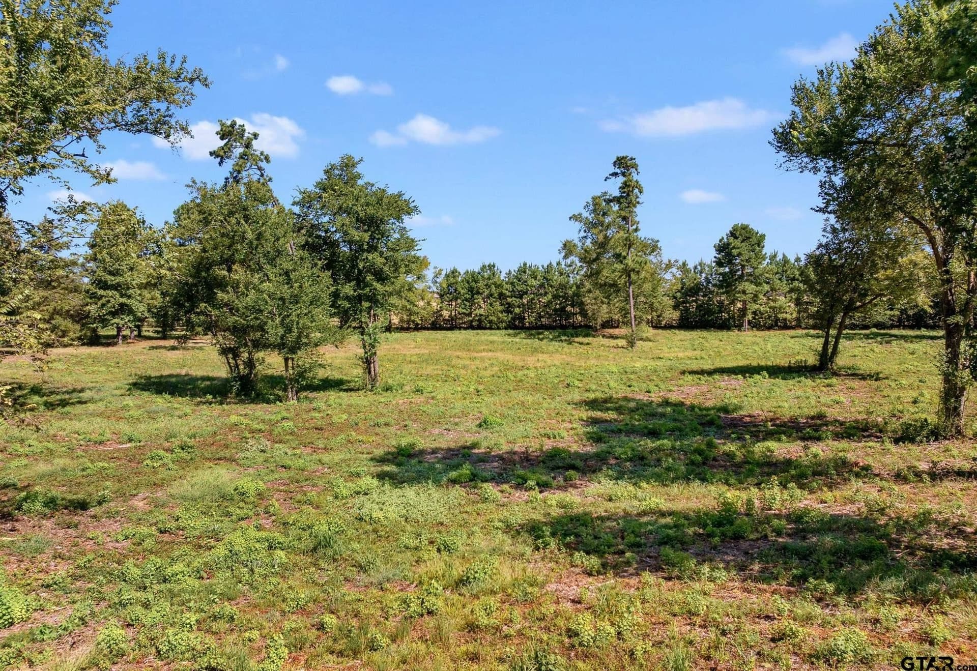 27.35 acres in Smith County - photo 9
