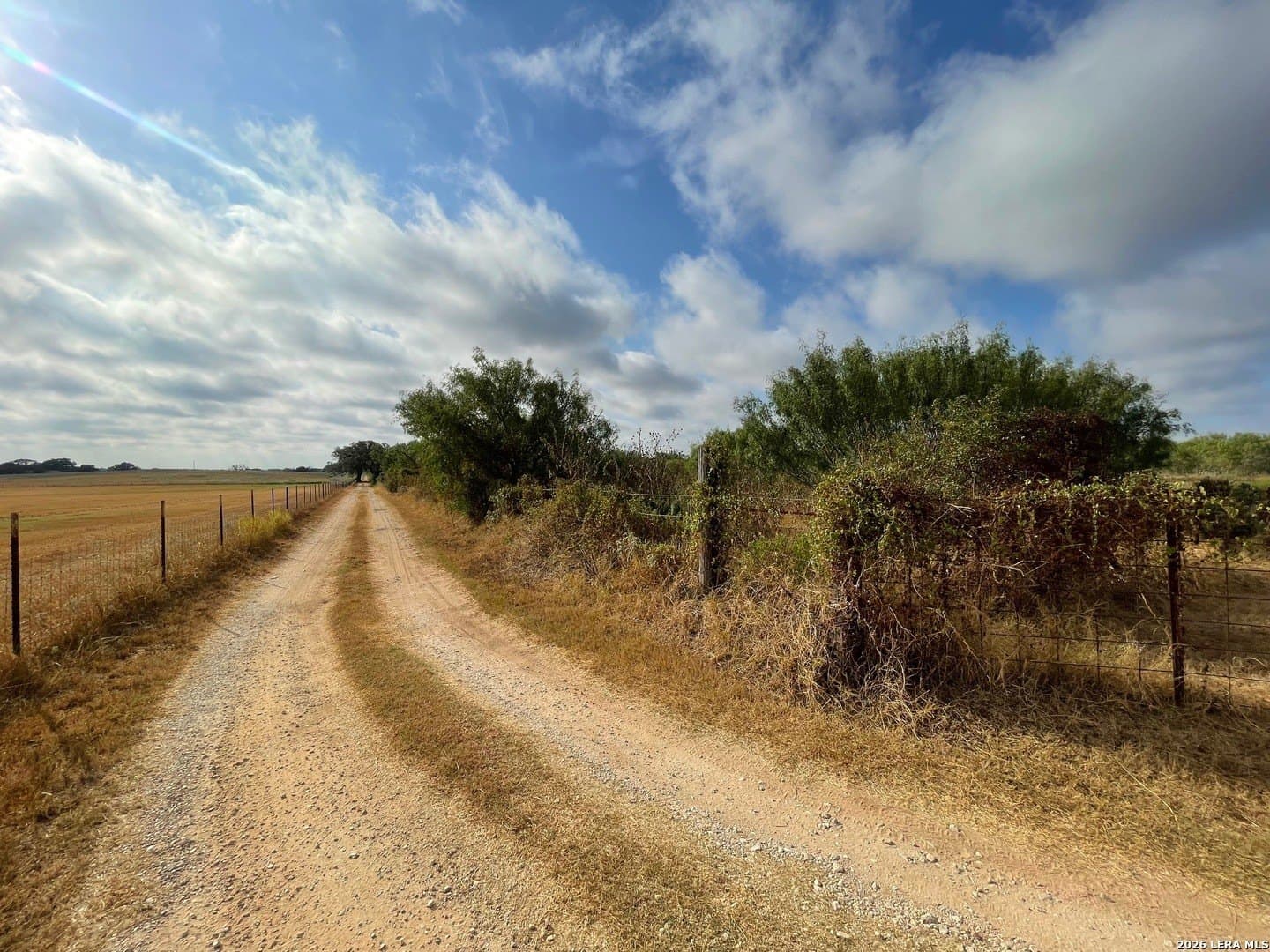 3 acres in Wilson County - photo 9