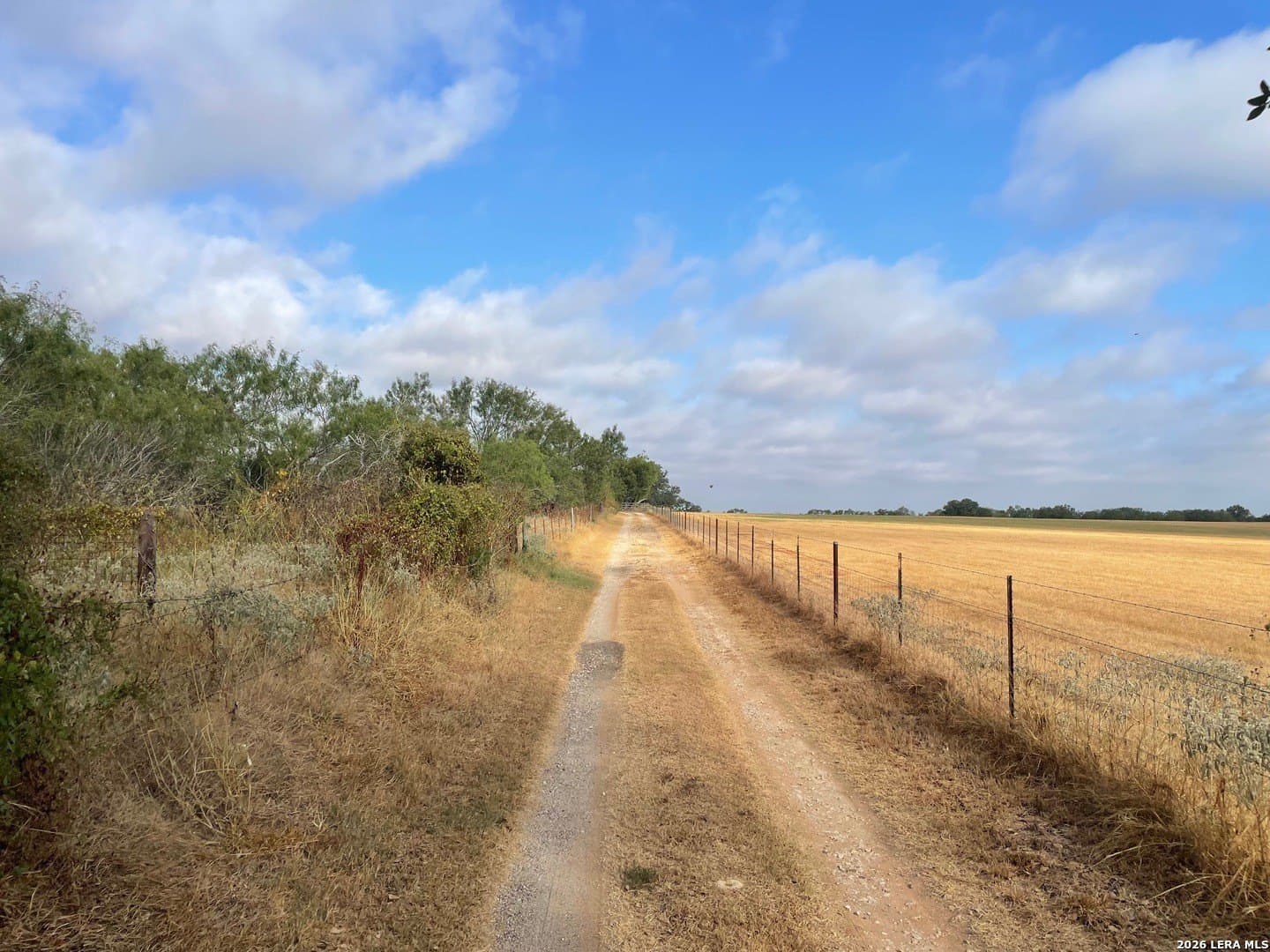 3 acres in Wilson County - photo 5