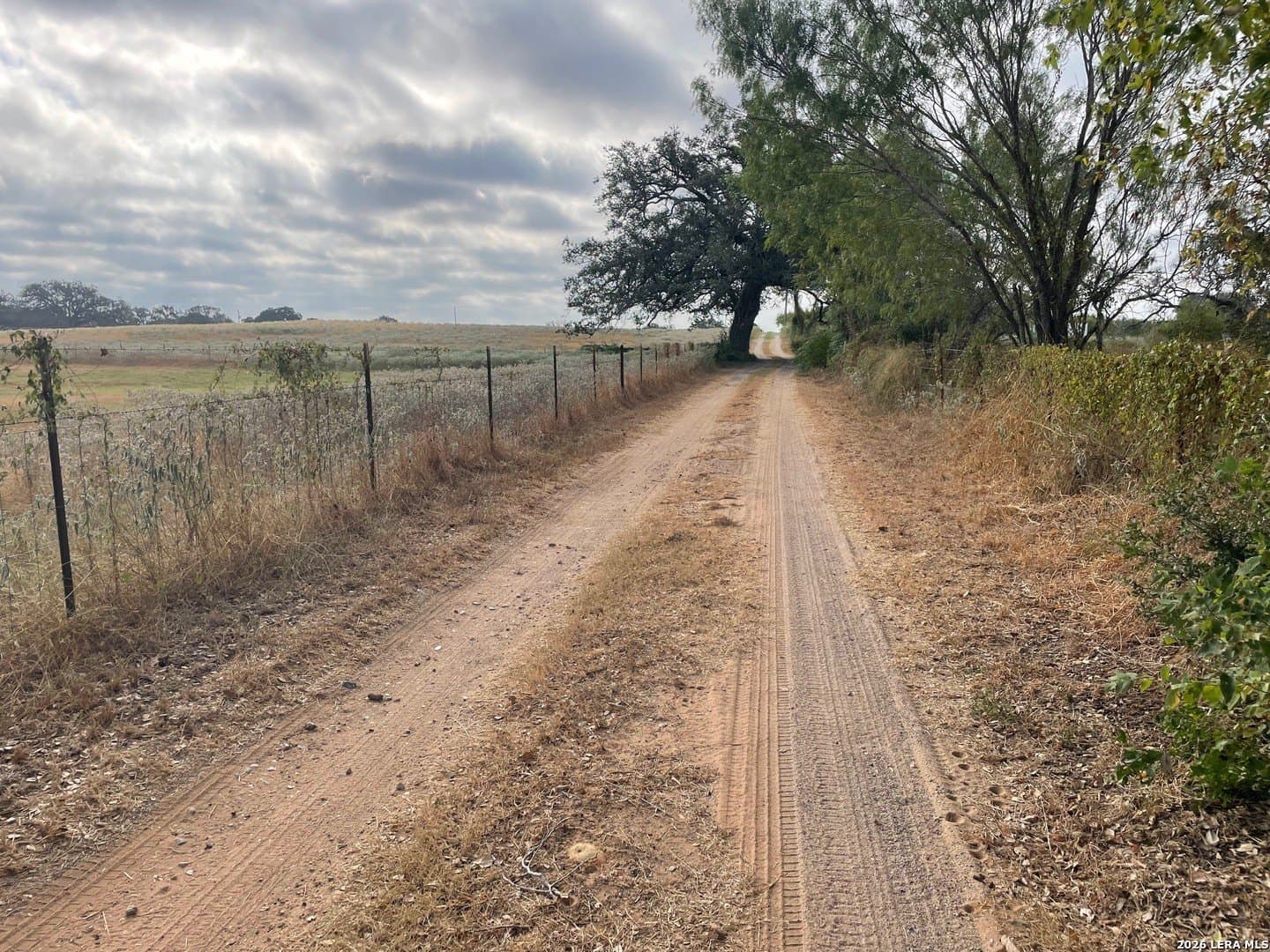 3 acres in Wilson County - photo 6