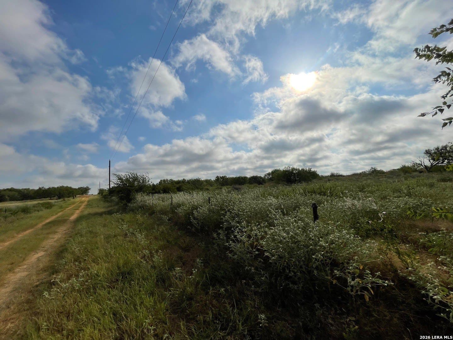 3 acres in Wilson County - photo 17