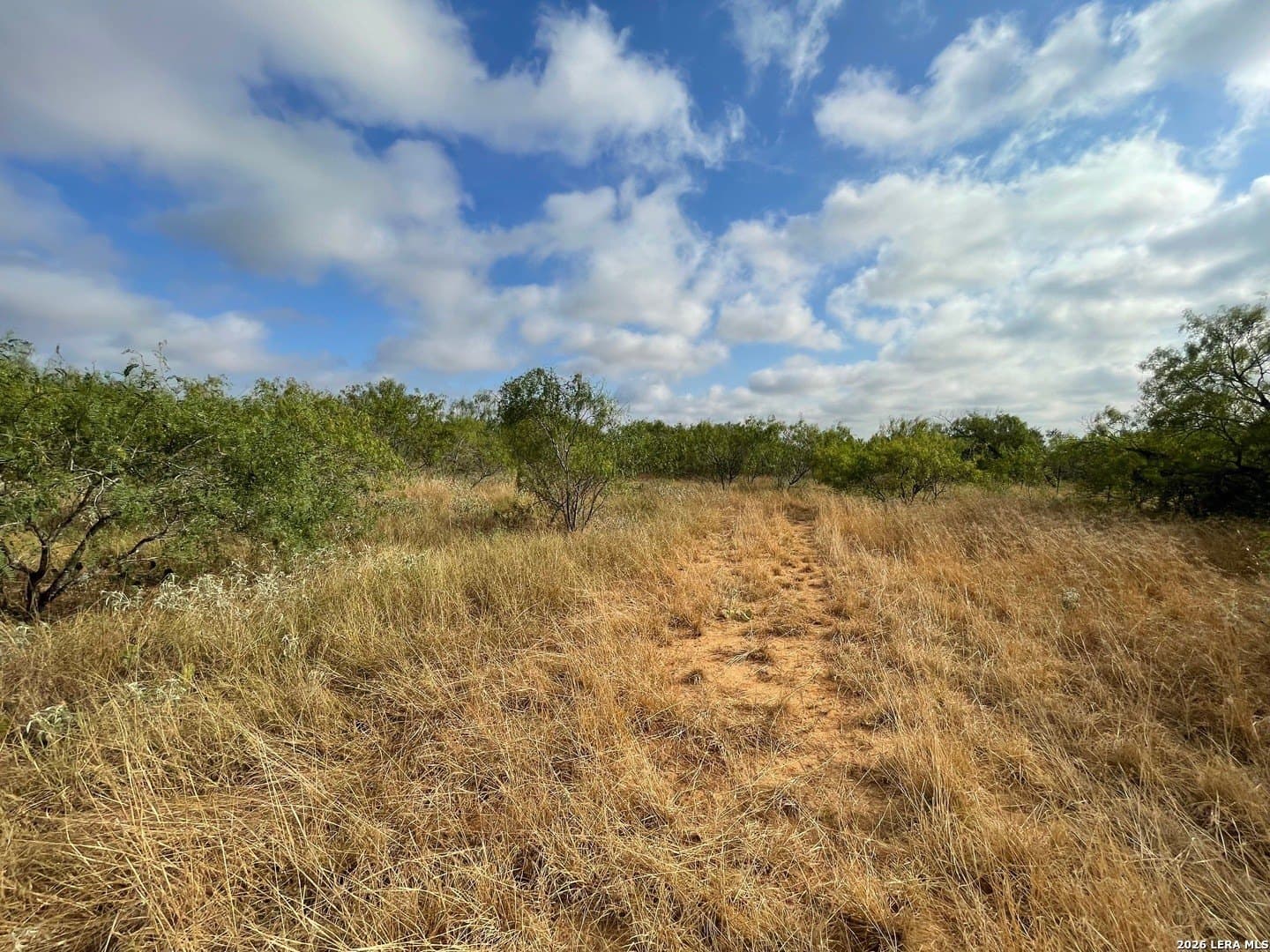 3 acres in Wilson County - photo 12