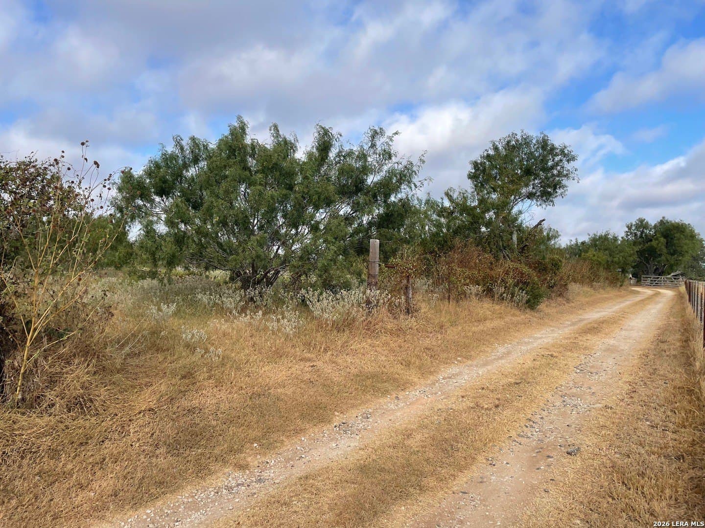 3 acres in Wilson County - photo 4