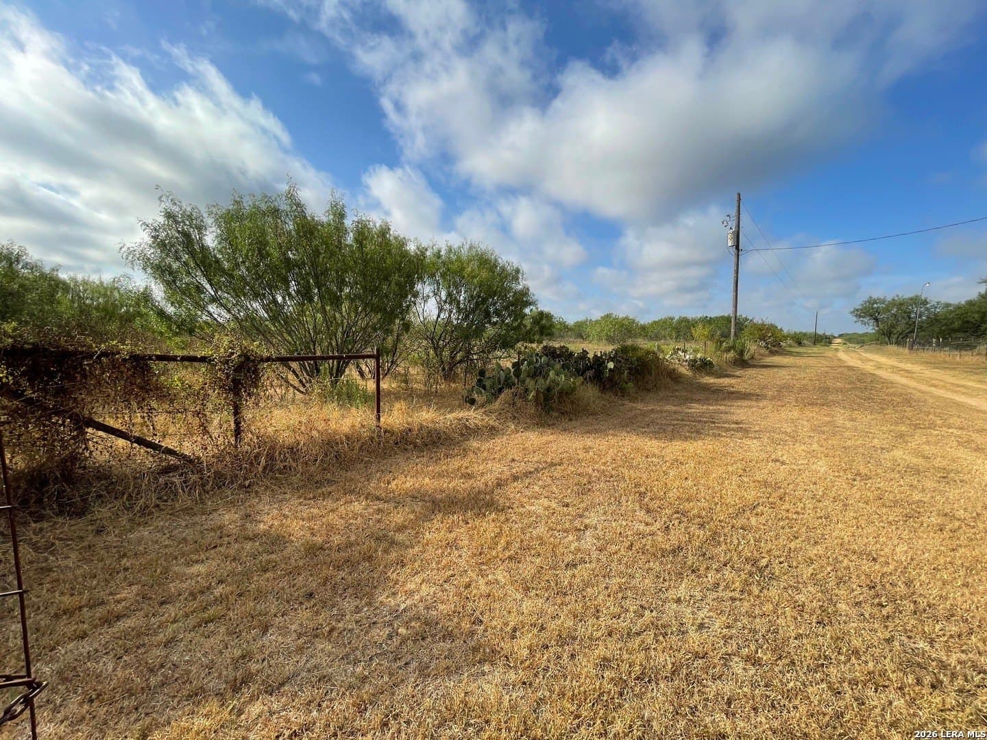 3 acres in Wilson County - photo 8