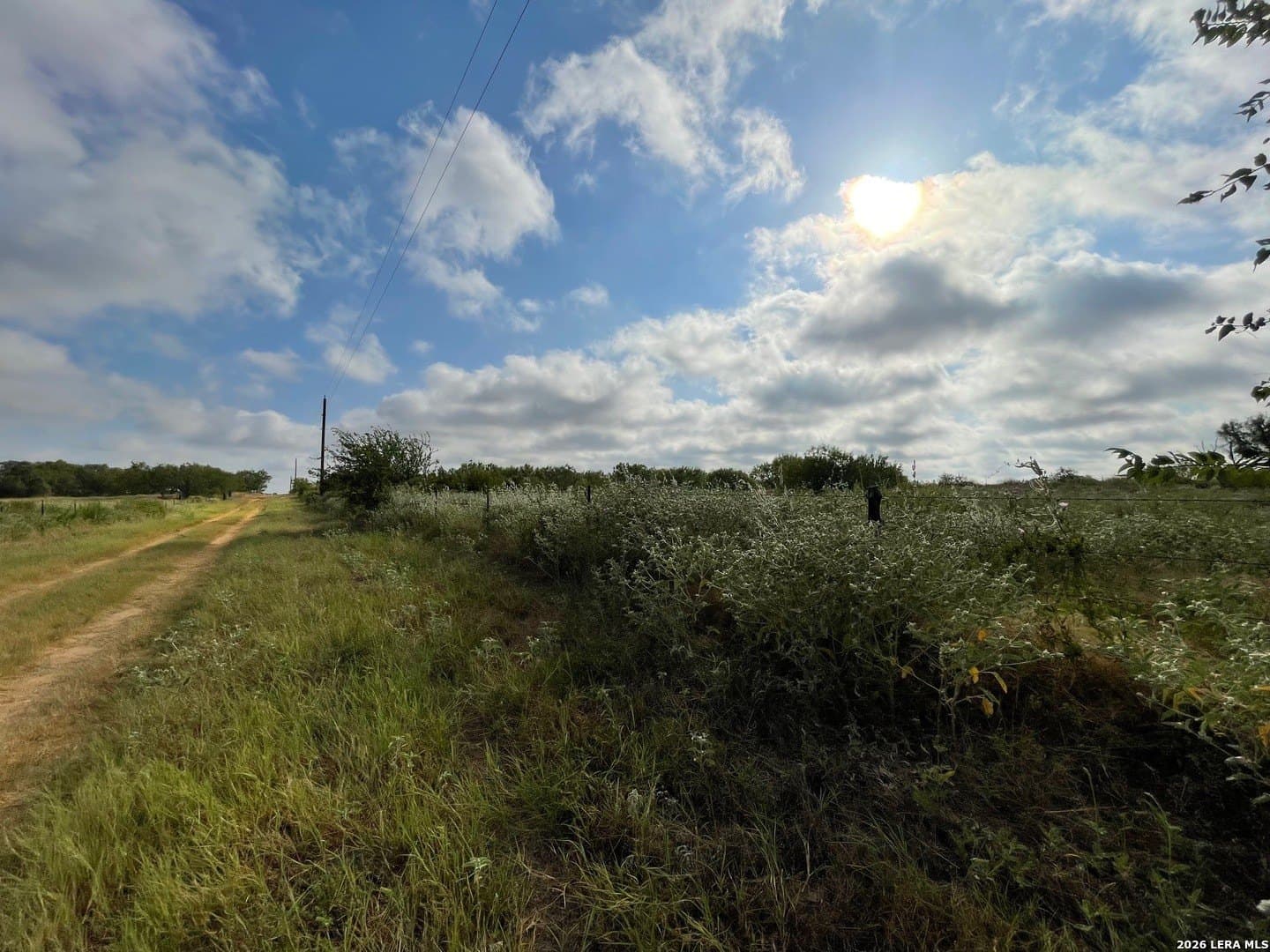 3 acres in Wilson County - photo 16
