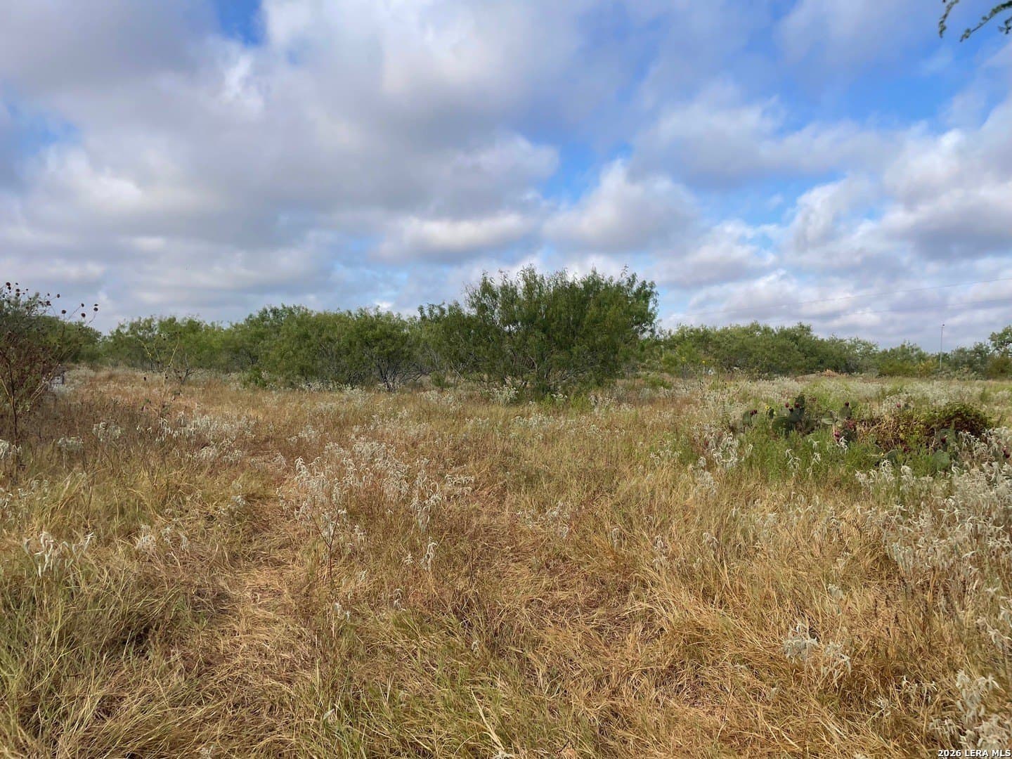 3 acres in Wilson County