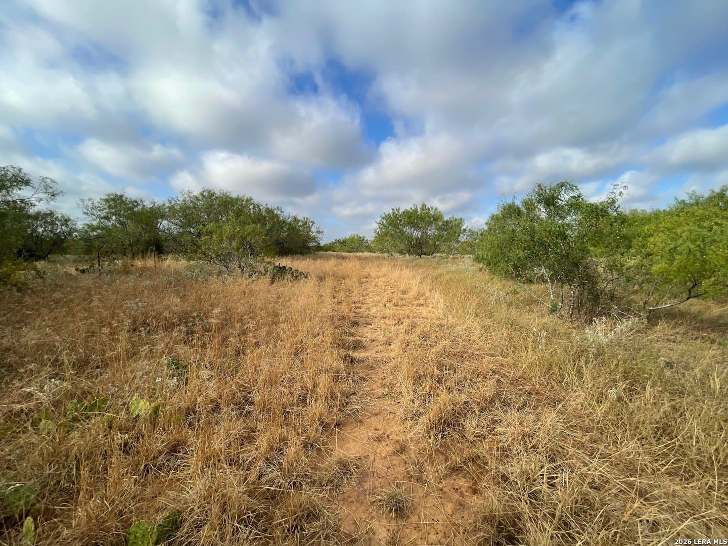 3 acres in Wilson County - photo 11