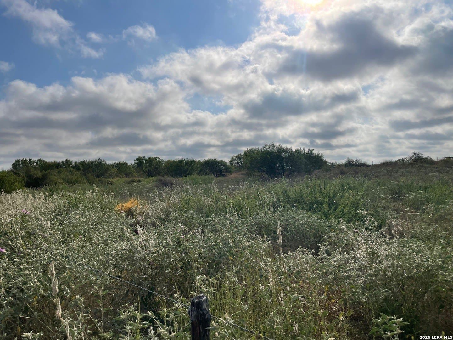 3 acres in Wilson County - photo 14