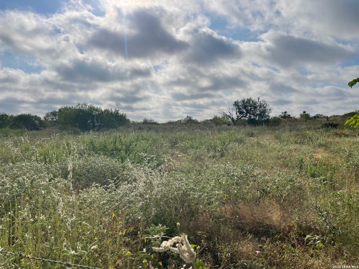 3 acres in Wilson County - photo 15