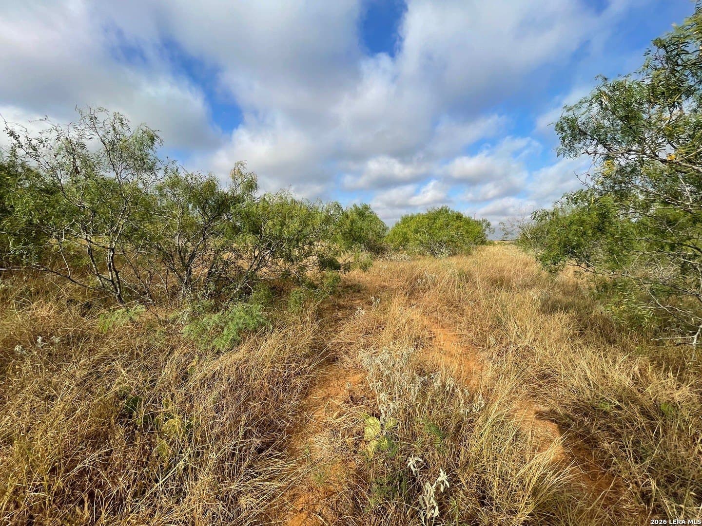 3 acres in Wilson County - photo 3
