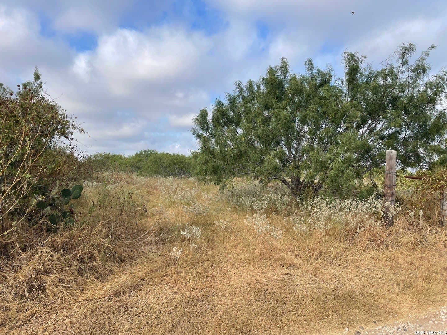3 acres in Wilson County - photo 2