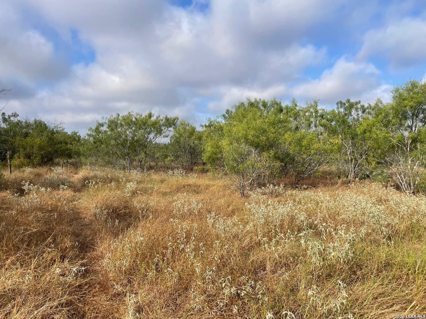 3 acres in Wilson County - photo 10