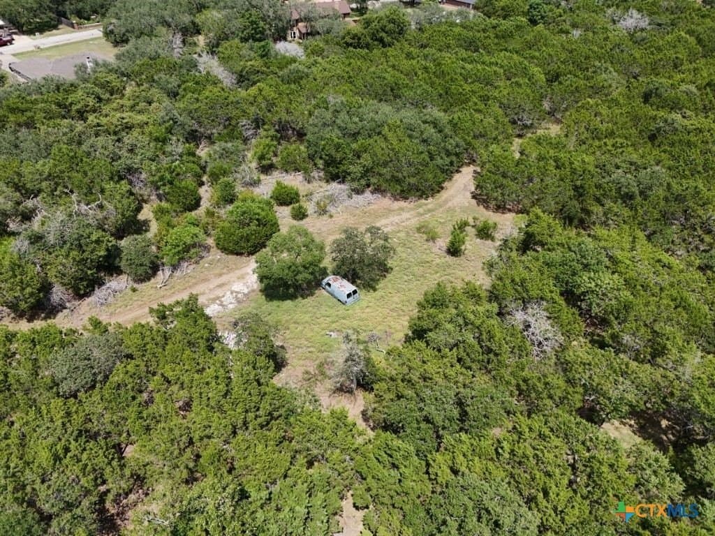 0.23 acres in Bell County - photo 5