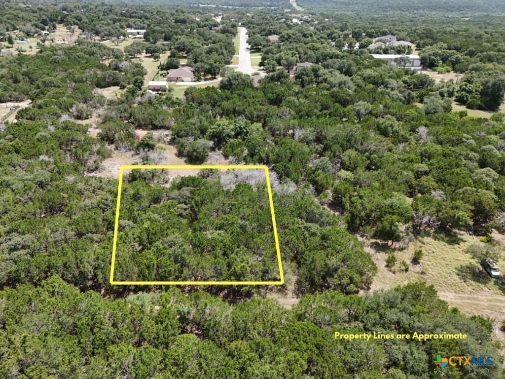 0.23 acres in Bell County - photo 3
