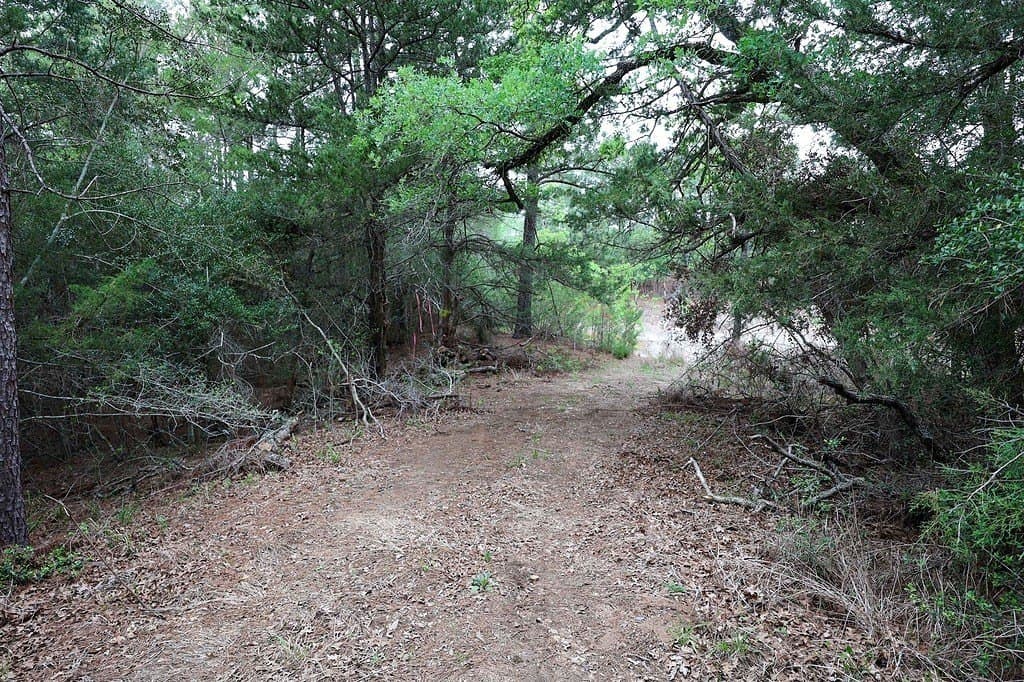 0.97 acres in Fayette County - photo 6