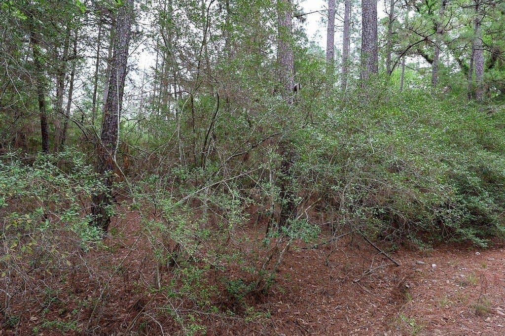 0.97 acres in Fayette County - photo 9