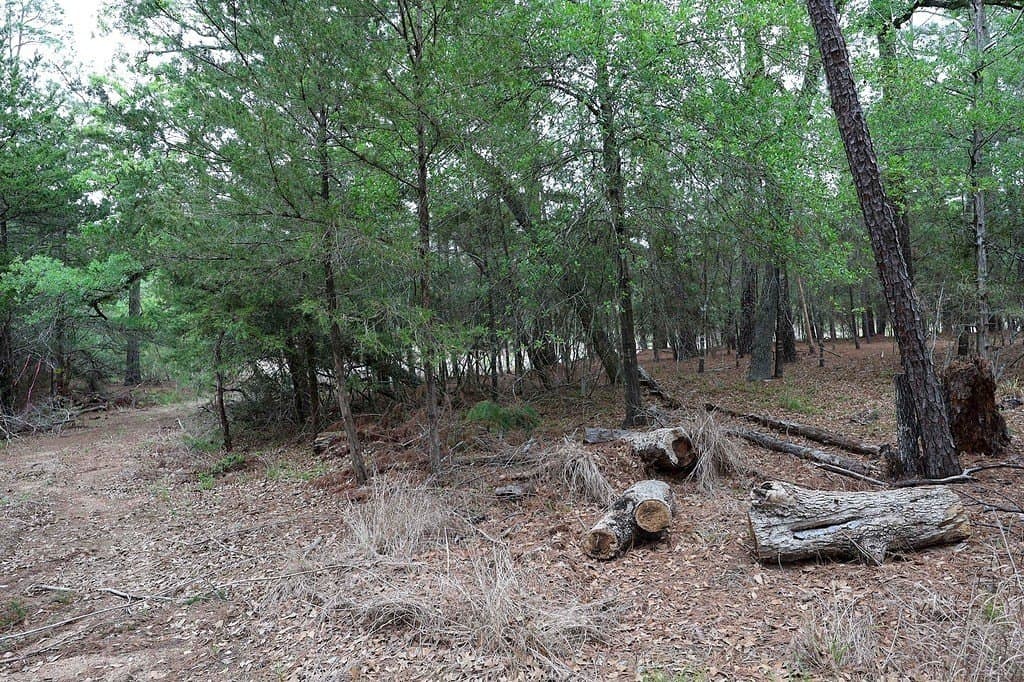 0.97 acres in Fayette County - photo 7