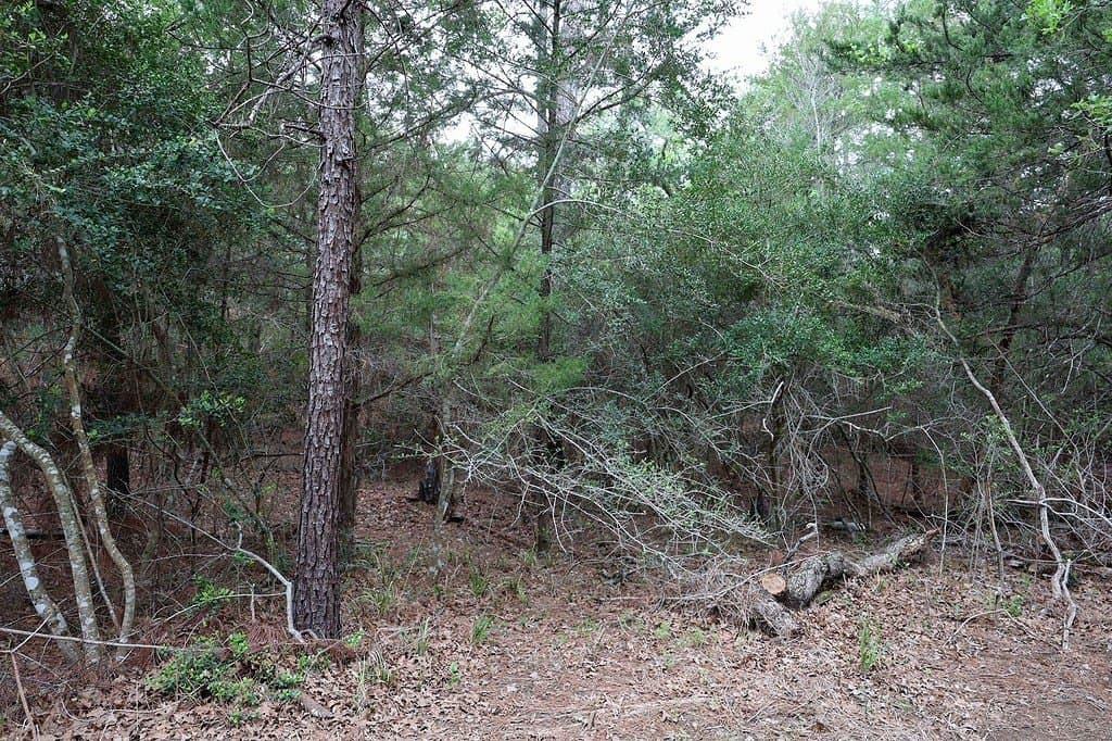 0.97 acres in Fayette County - photo 8