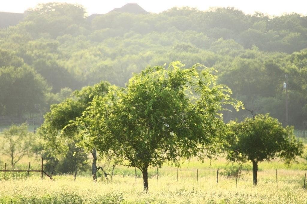 5.51 acres in Palo Pinto County gallery image 2