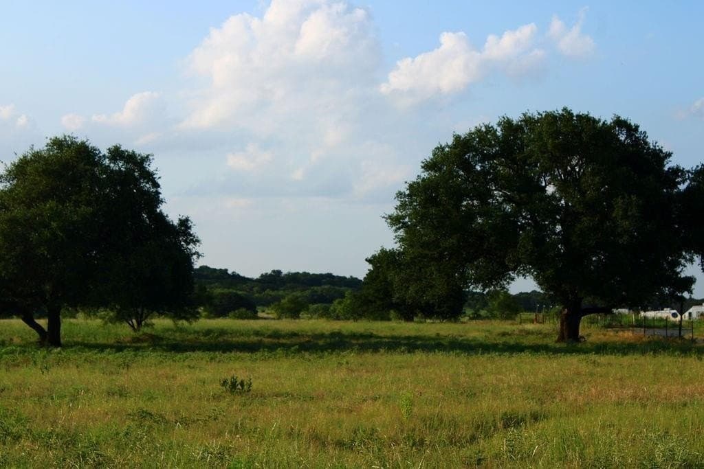 5.51 acres in Palo Pinto County gallery image 4