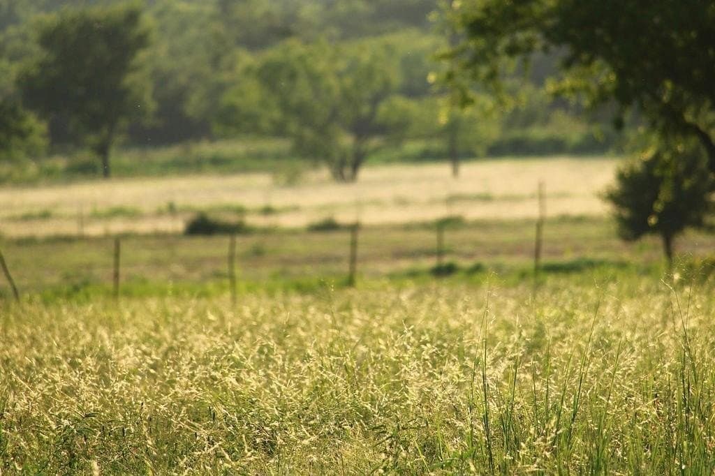 5.51 acres in Palo Pinto County gallery image 3