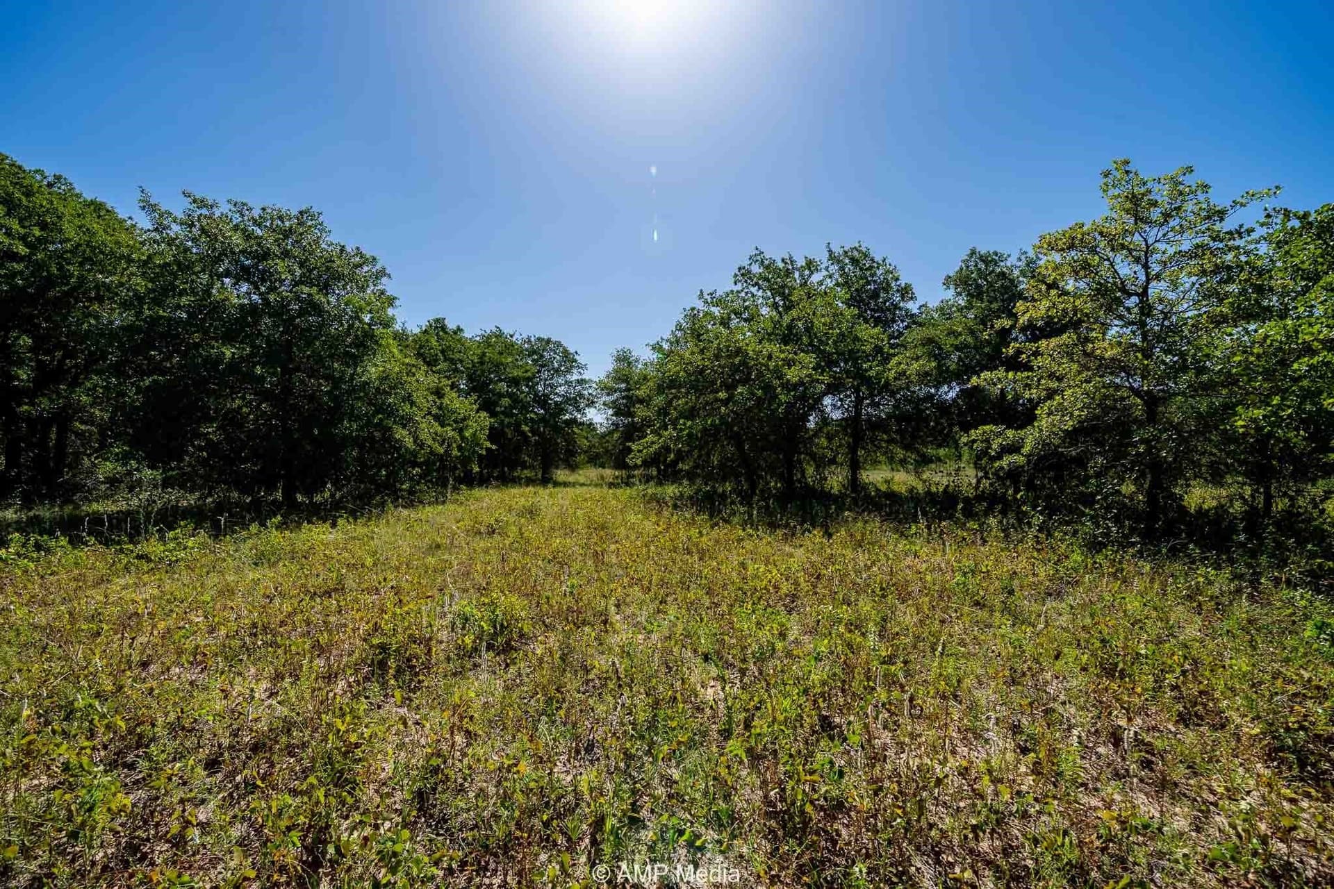 10 acres in Eastland County gallery image 4