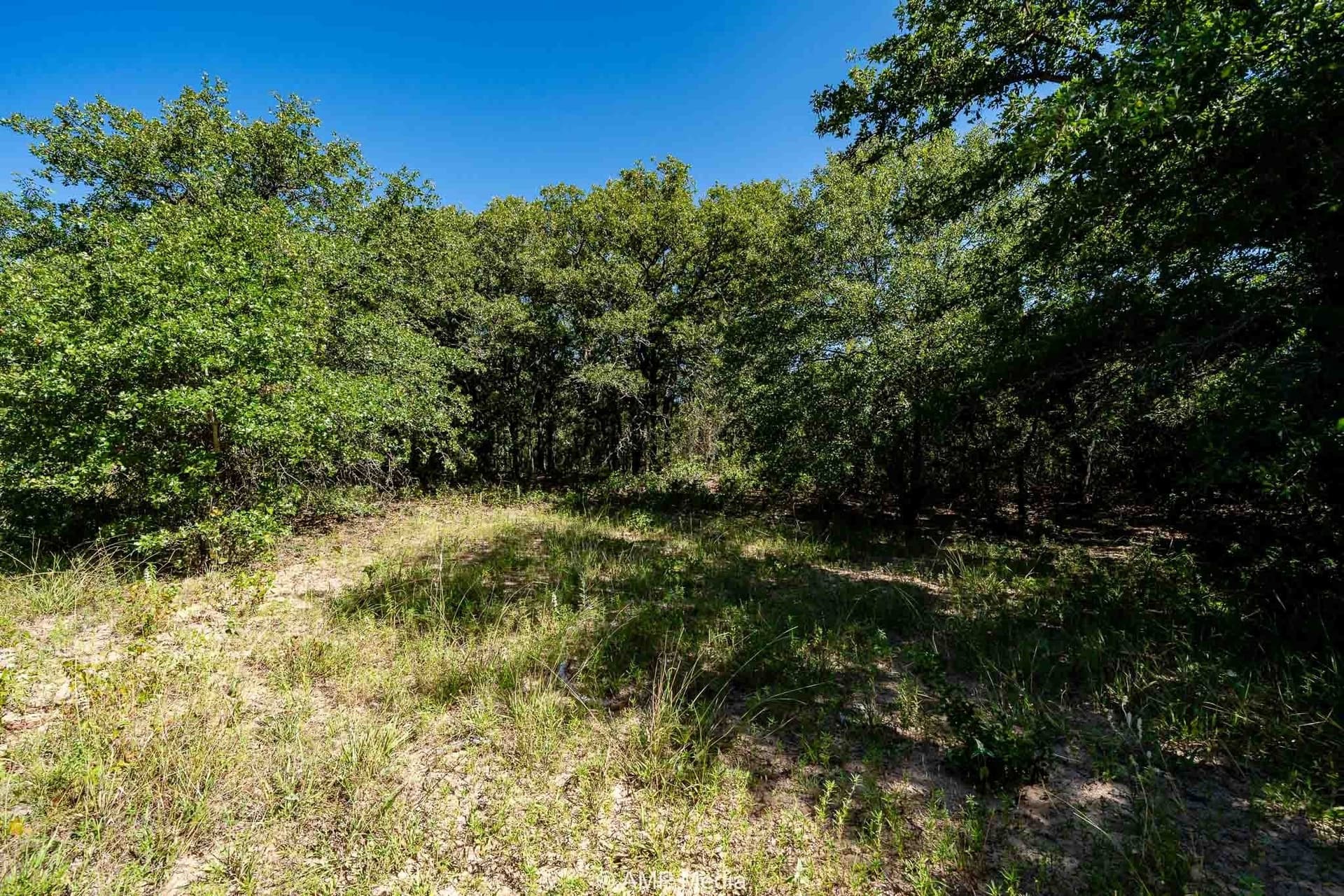 10 acres in Eastland County gallery image 2