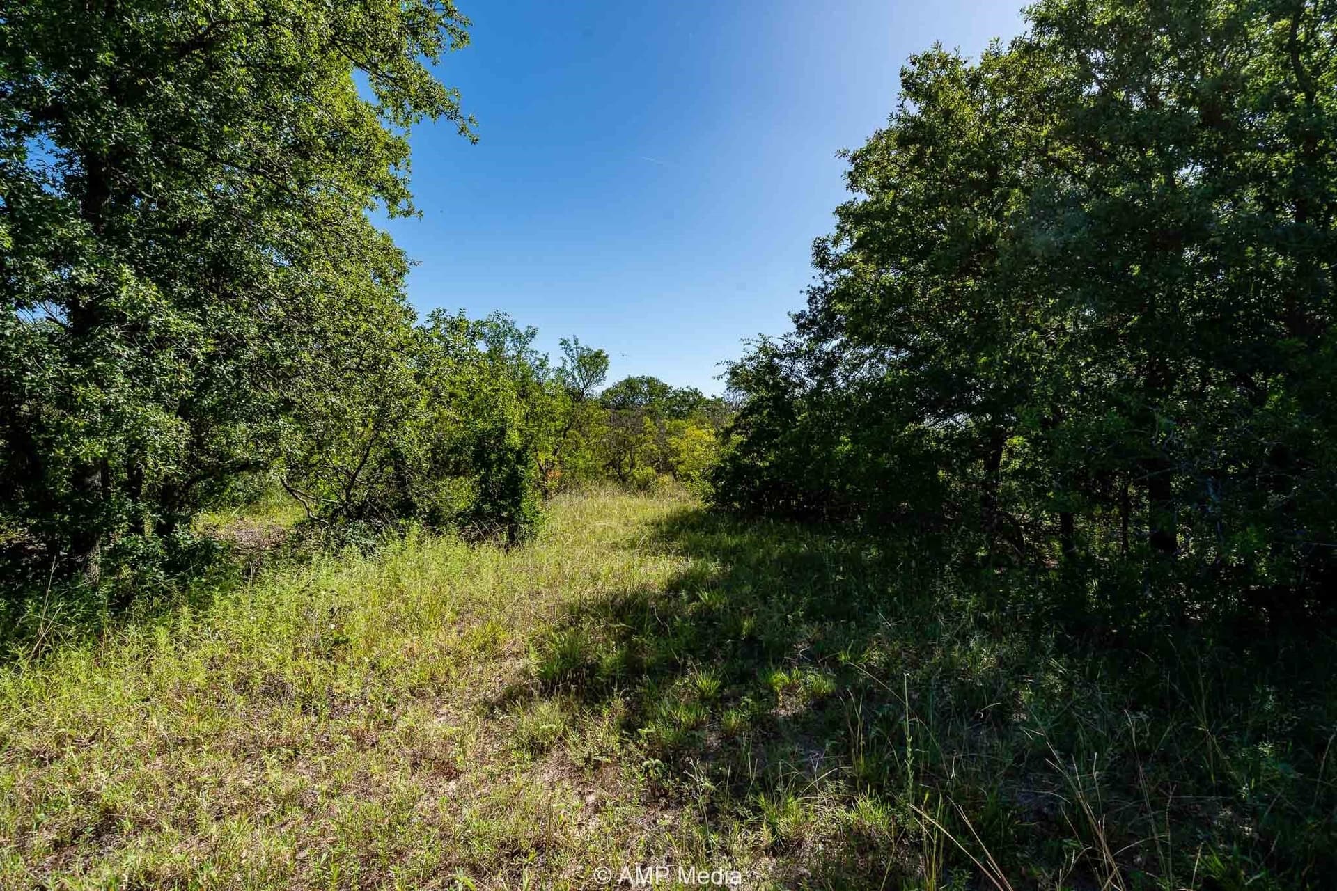 10 acres in Eastland County - photo 6