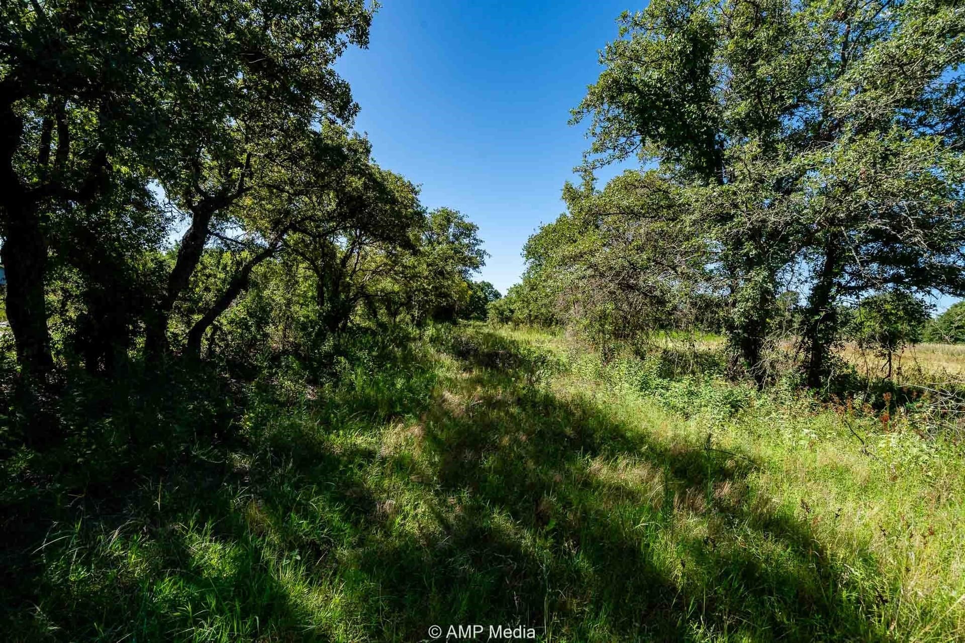 10 acres in Eastland County featured view