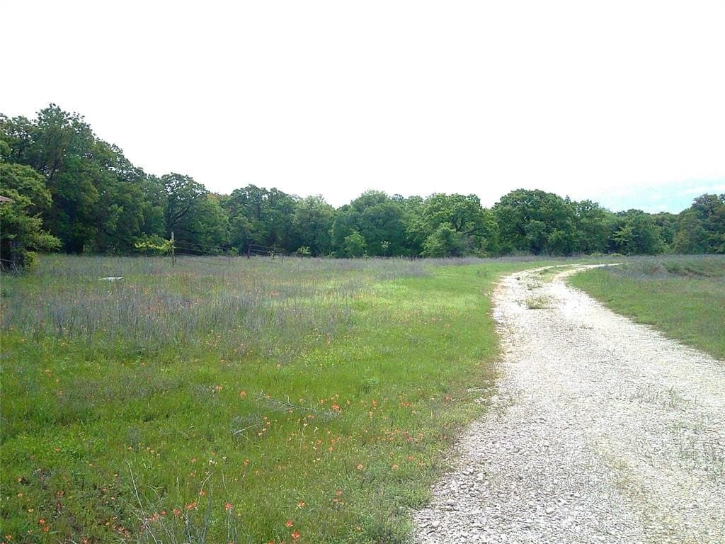 10.01 acres in Montague County gallery image 4