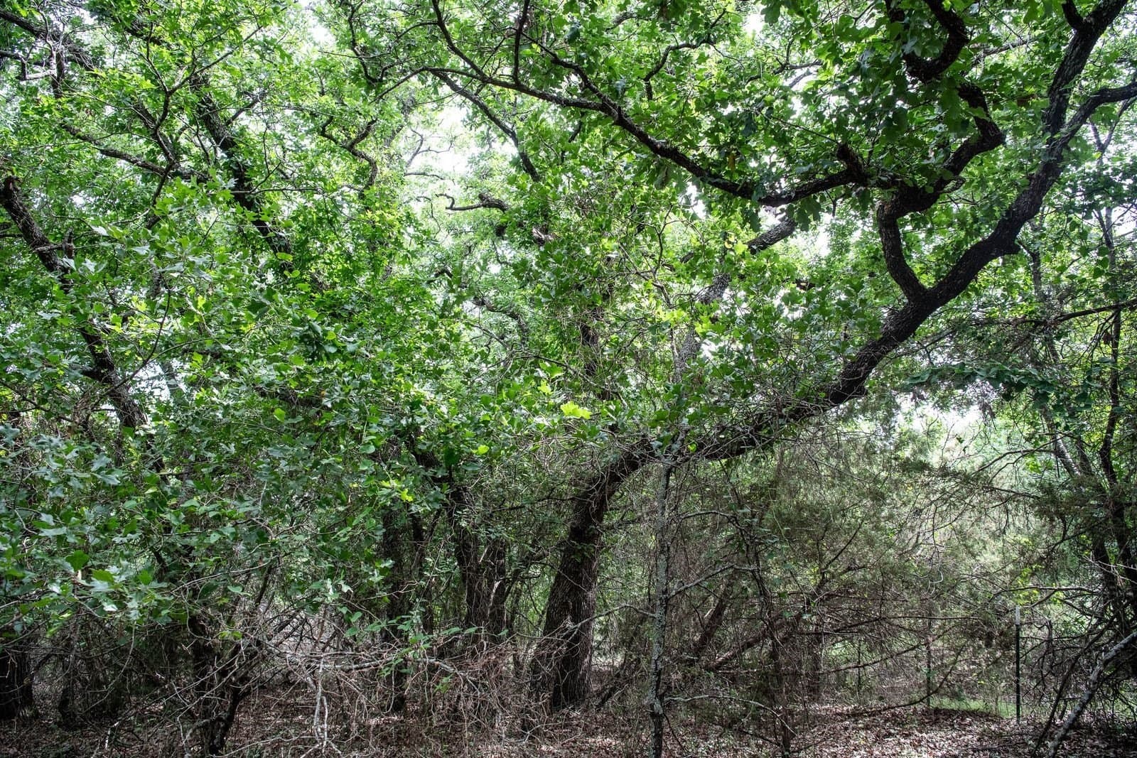 7.18 acres in Parker County - photo 38