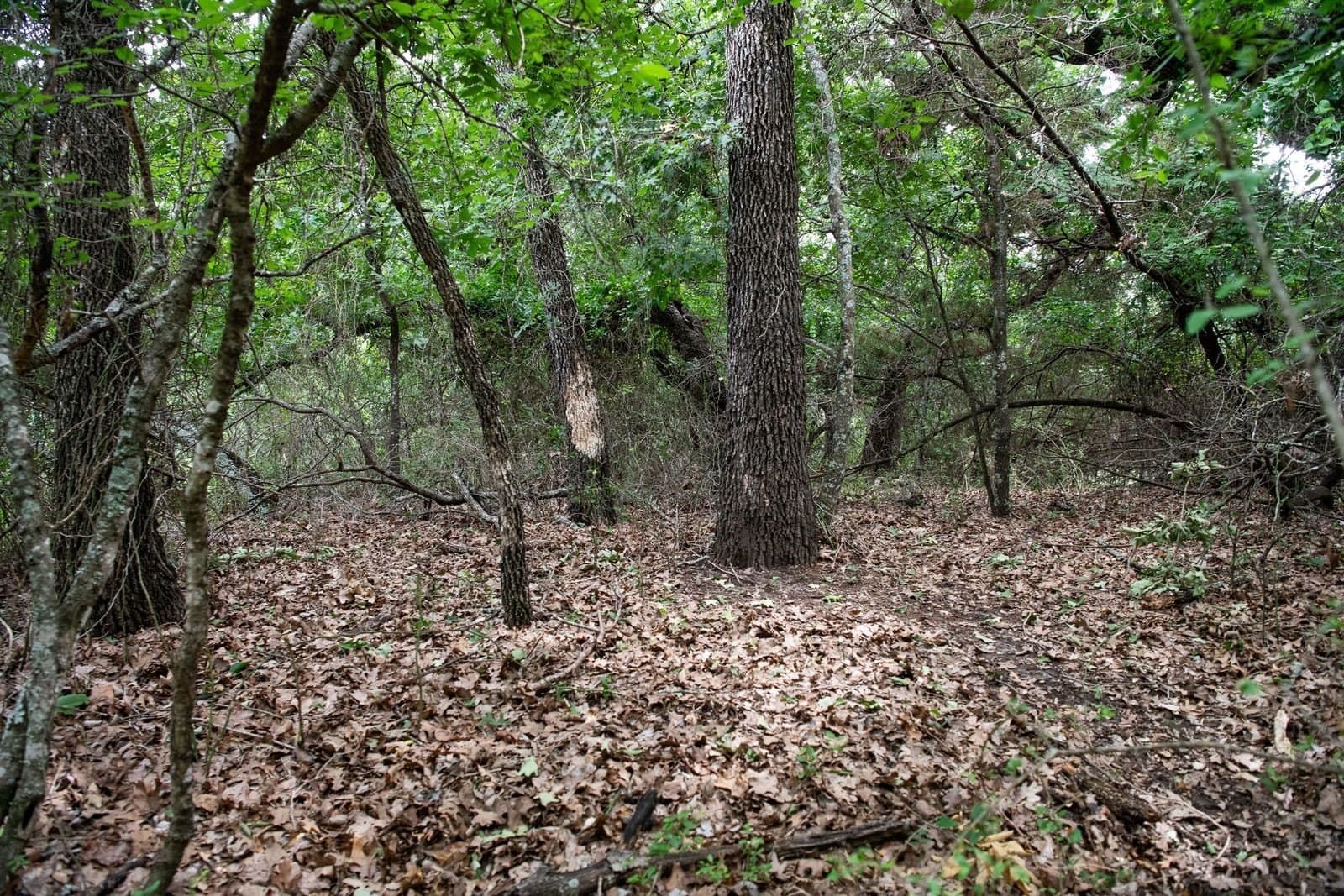 7.18 acres in Parker County - photo 37