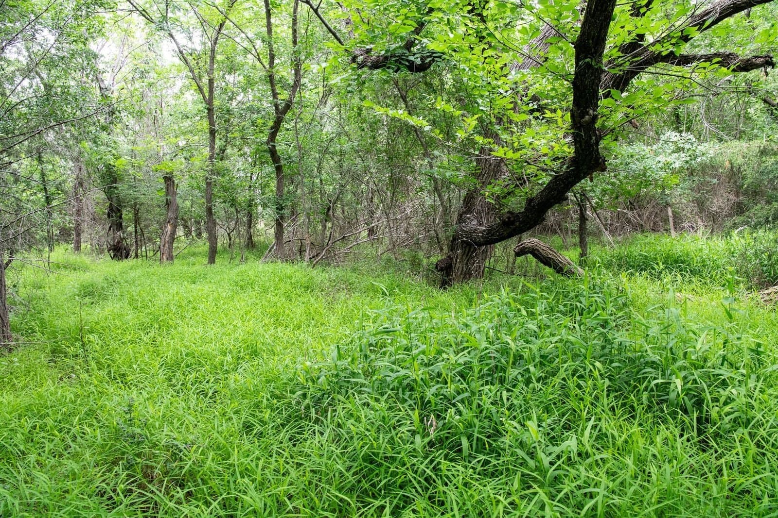 7.18 acres in Parker County - photo 40