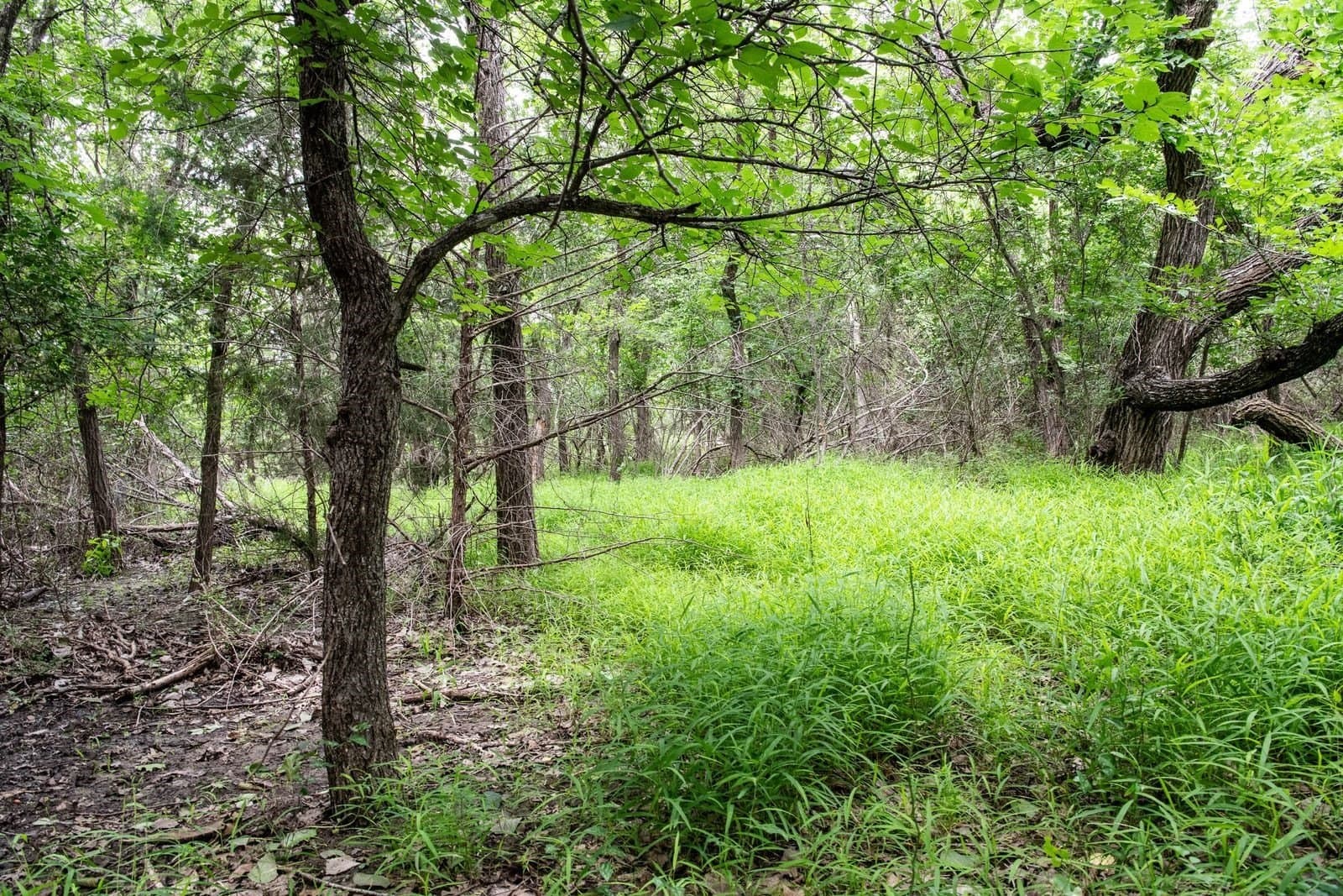 7.18 acres in Parker County - photo 39