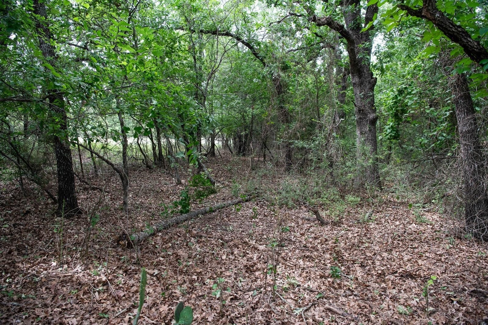 7.18 acres in Parker County - photo 36