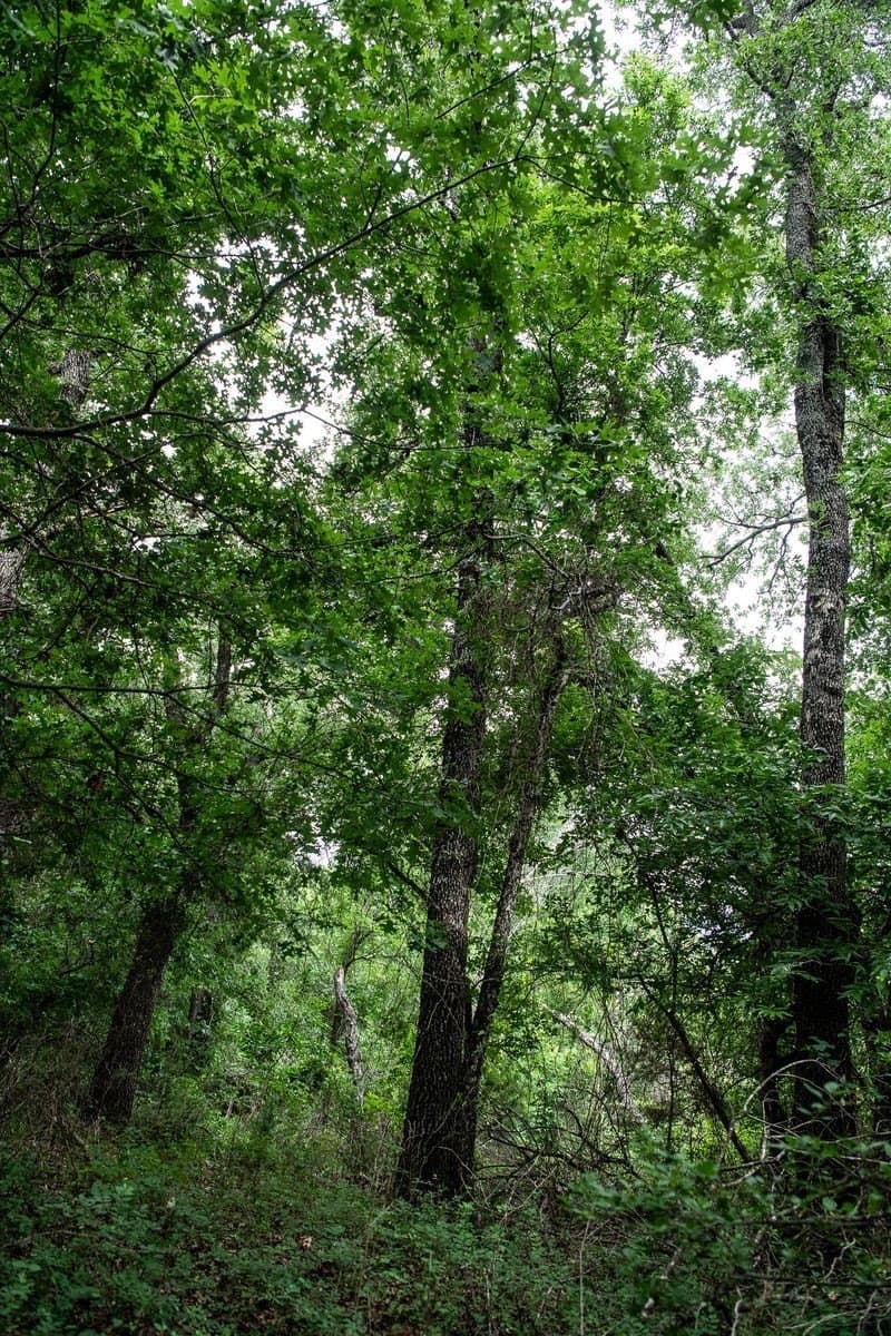 7.18 acres in Parker County - photo 32