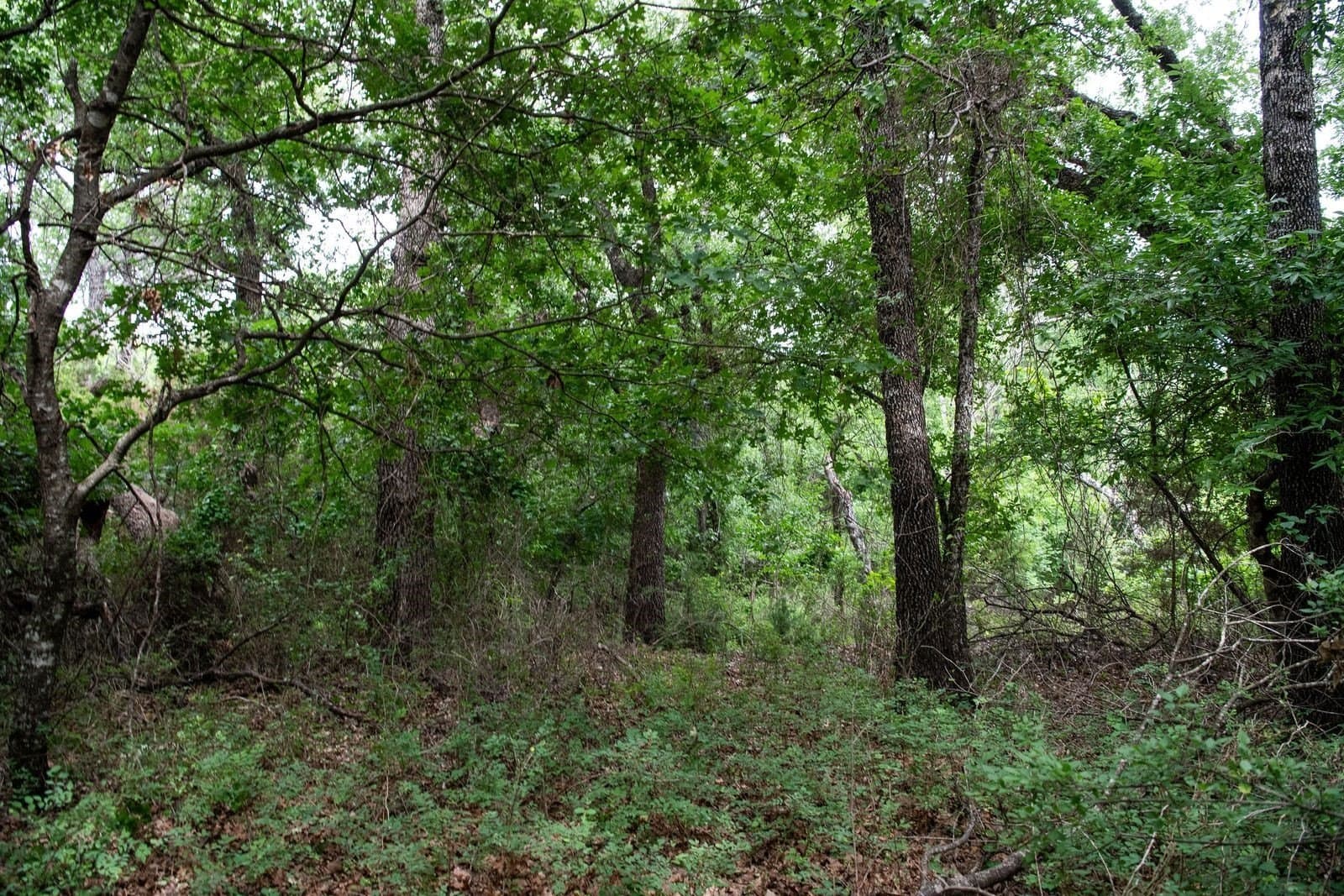 7.18 acres in Parker County - photo 35