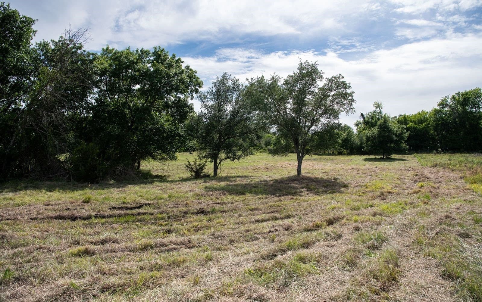 7.18 acres in Parker County - photo 14