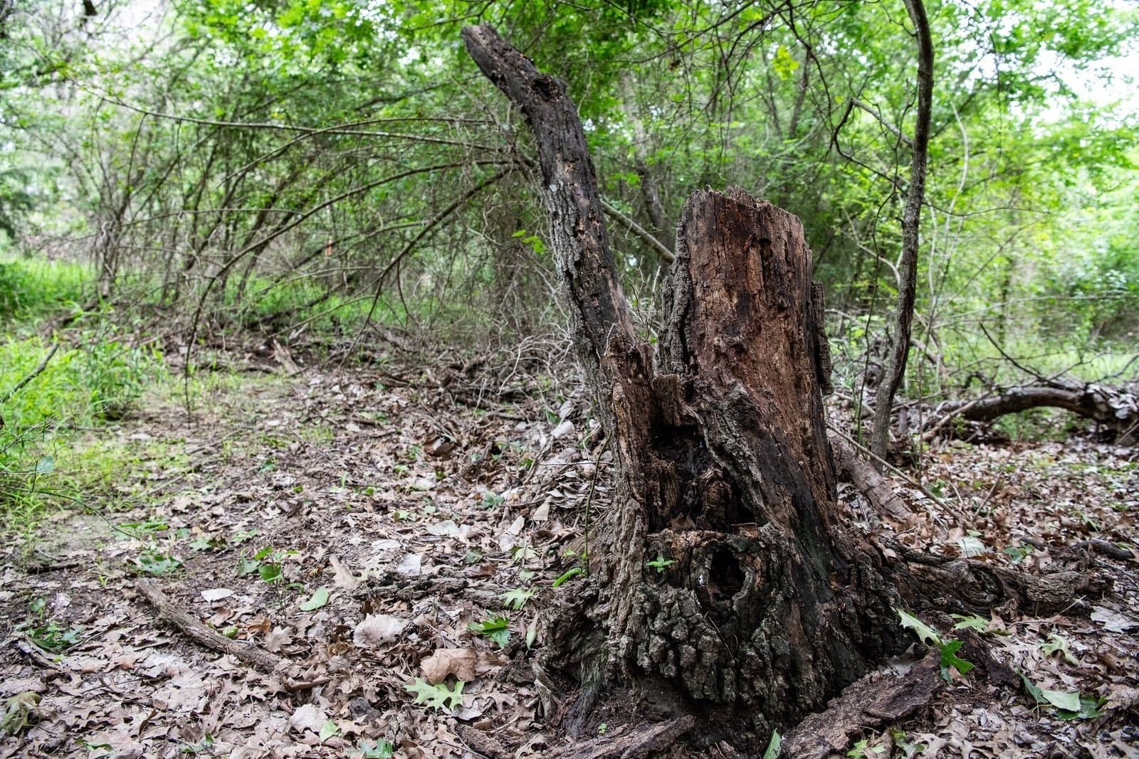 7.18 acres in Parker County - photo 33