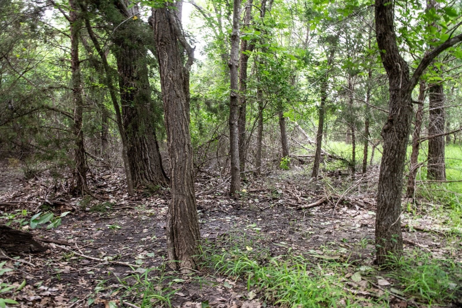 7.18 acres in Parker County - photo 34