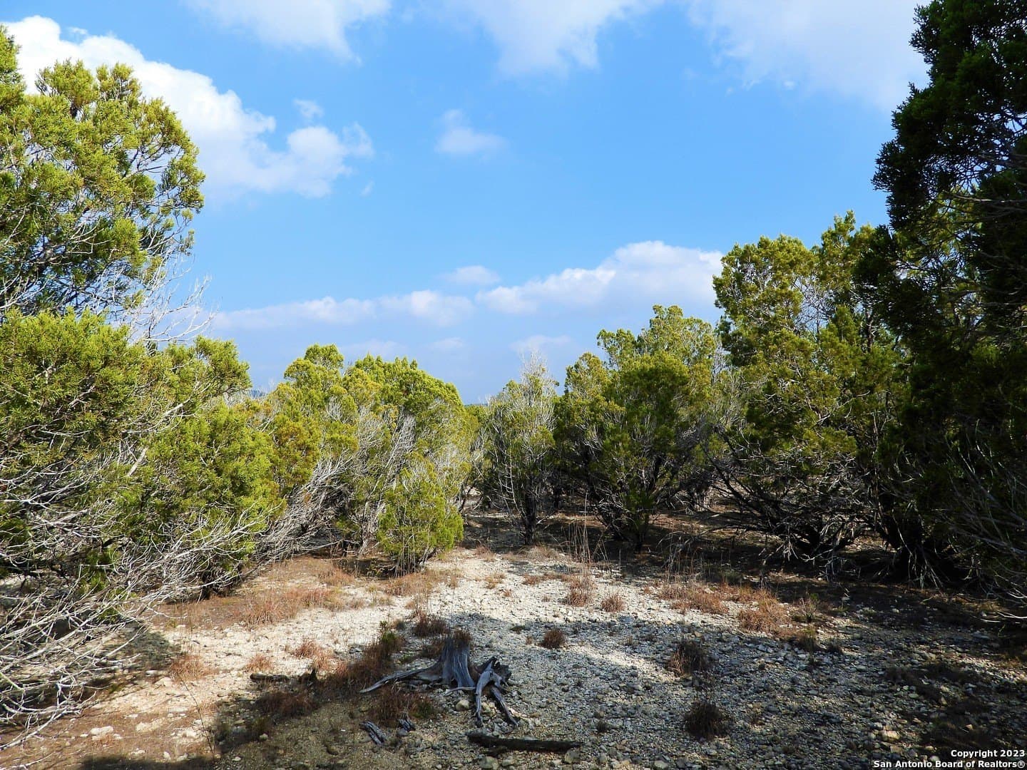 2.68 acres in Bandera County gallery image 3