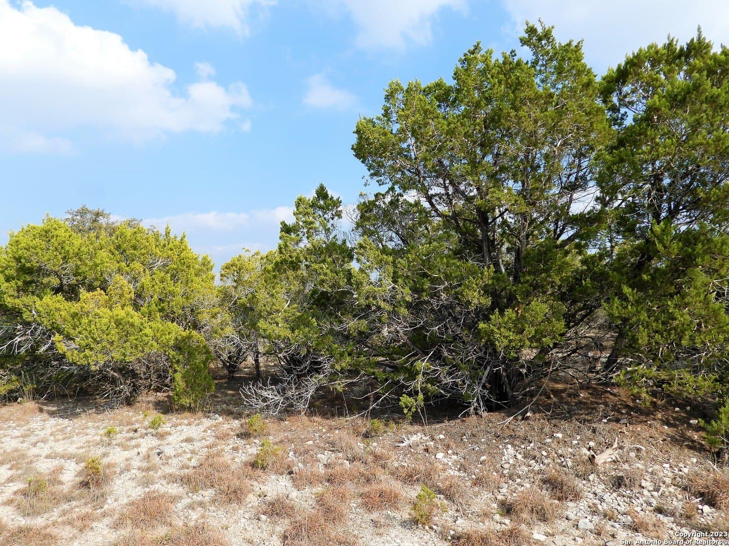 2.68 acres in Bandera County gallery image 2