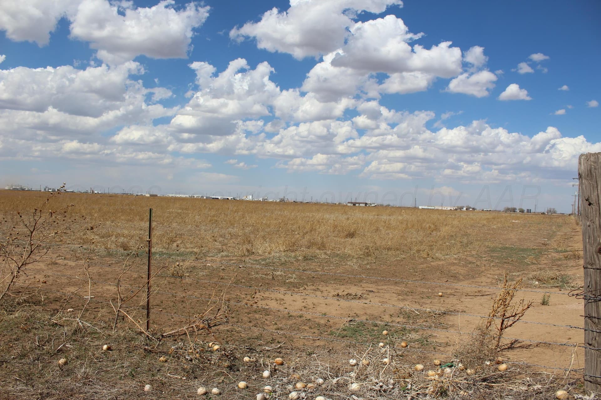 24.18 acres in Deaf Smith County gallery image 4