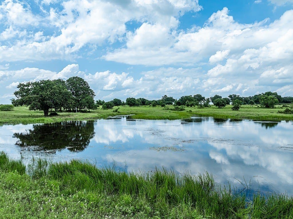 23 acres in Fayette County