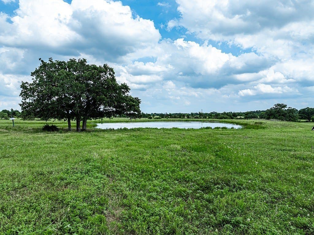 23 acres in Fayette County gallery image 2