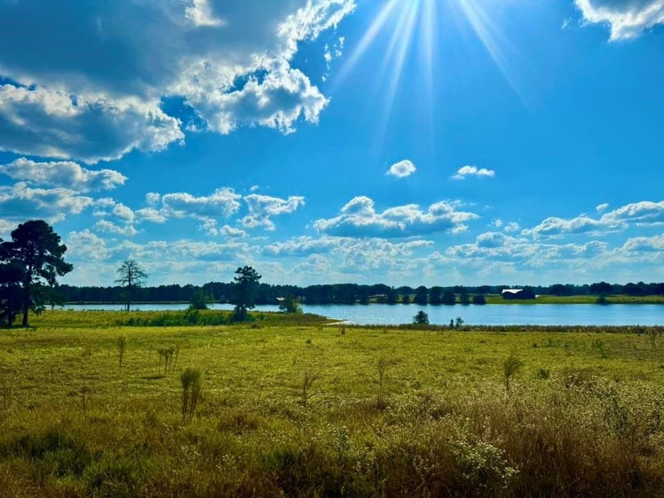 0.88 acres in Texas County - photo 11