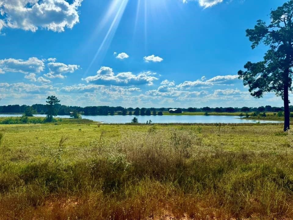 0.88 acres in Texas County - photo 10