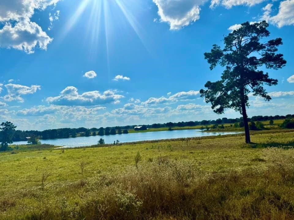 0.88 acres in Texas County - photo 12