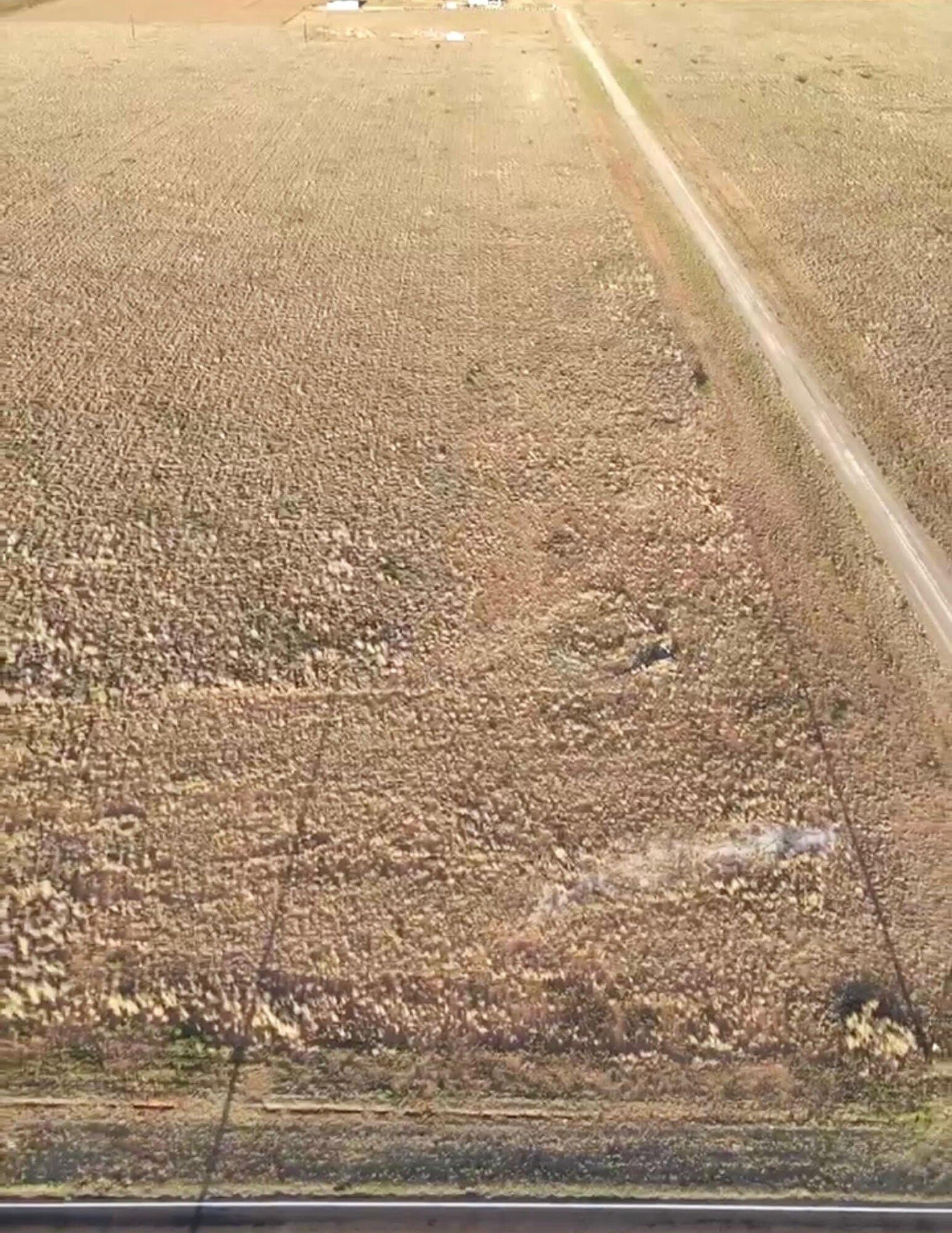 4.93 acres in Hockley County - photo 2